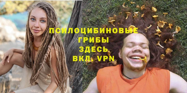 мдпв Богородск