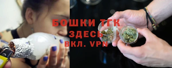 гидропоника Богданович