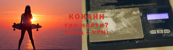 мдпв Богородск