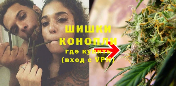 гидропоника Богданович