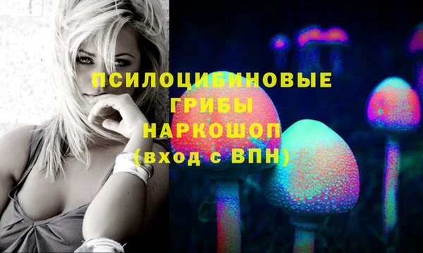 тгк Белокуриха